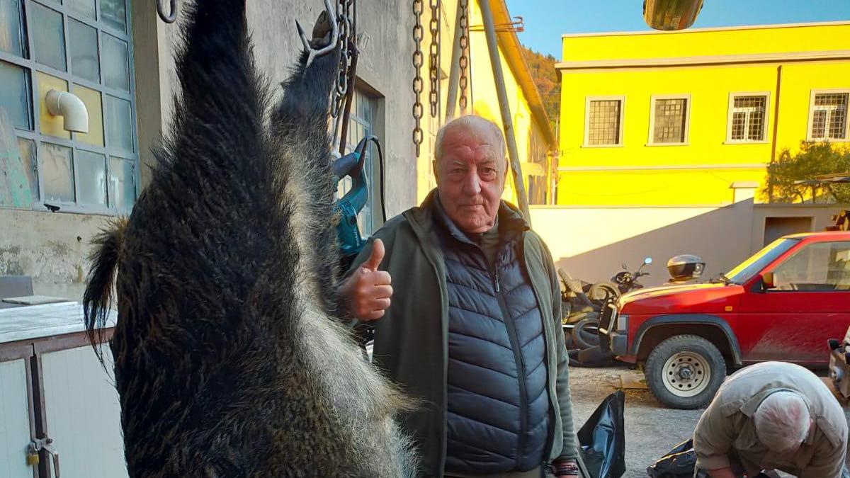 Il cinghiale abbattuto dai "Ribelli"