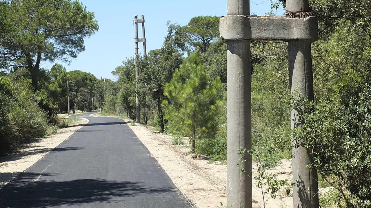 Un tratto della pista ciclabile del Trammino