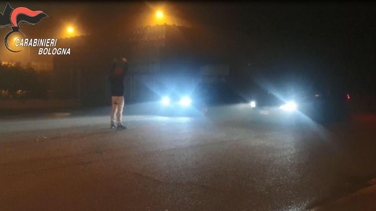 Corse clandestine a Molinella, blitz dei carabinieri