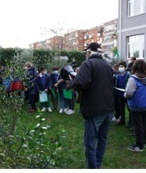 La “Festa degli alberi” alla scuola Collodi 