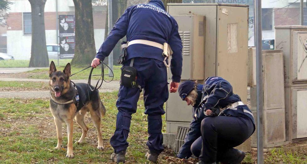 Stop allo spaccio in parchi e scuole arriva l’antidroga della municipale 