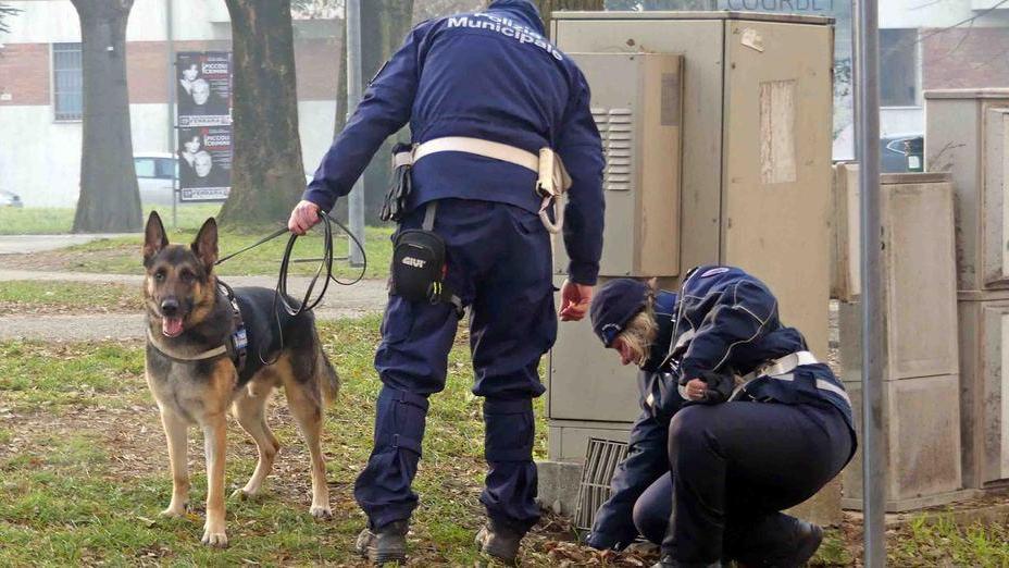 Stop allo spaccio in parchi e scuole arriva l’antidroga della municipale