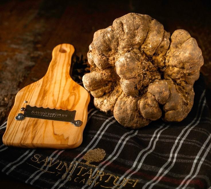 Il super tartufo di 797 grammi può valere fino a 20mila euro 