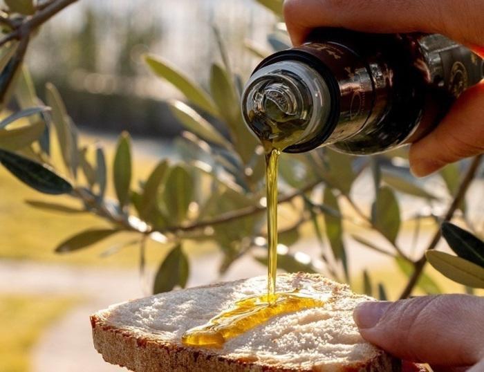 L’extravergine punta sull’Igp e nasce l’etichetta Bolgheri