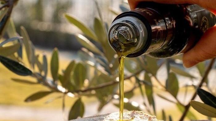 L’extravergine punta sull’Igp e nasce l’etichetta Bolgheri