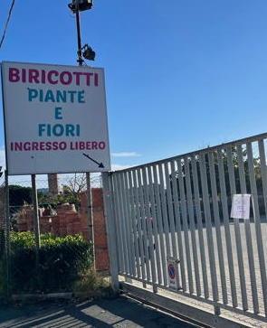 Addio a Nella, storica fioraia Colonna dell’azienda Biricotti 