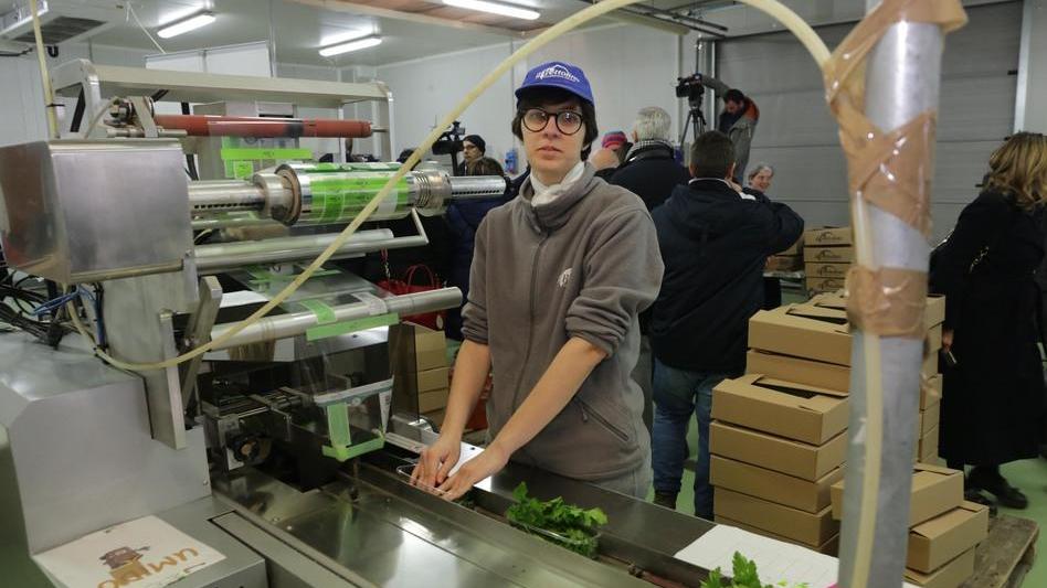 La cooperazione sociale vola: crescita doppia nel decennio