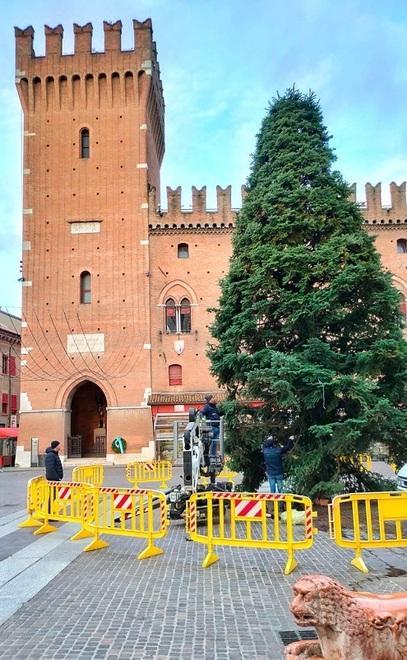 In piazza è arrivato l’Albero