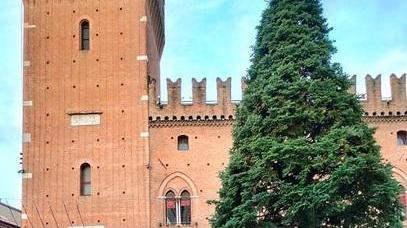 In piazza è arrivato l’Albero
