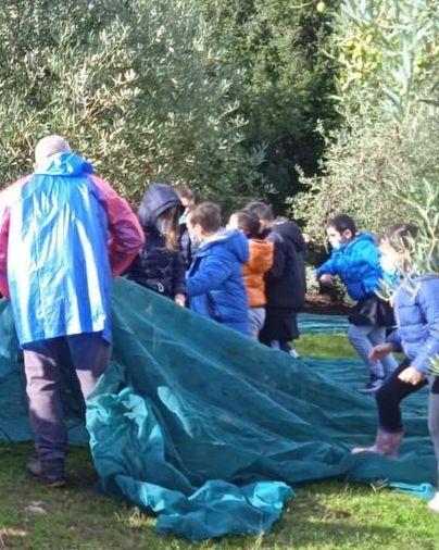 A Ittiri i bambini giocano e imparano i segreti dell’olivicoltura