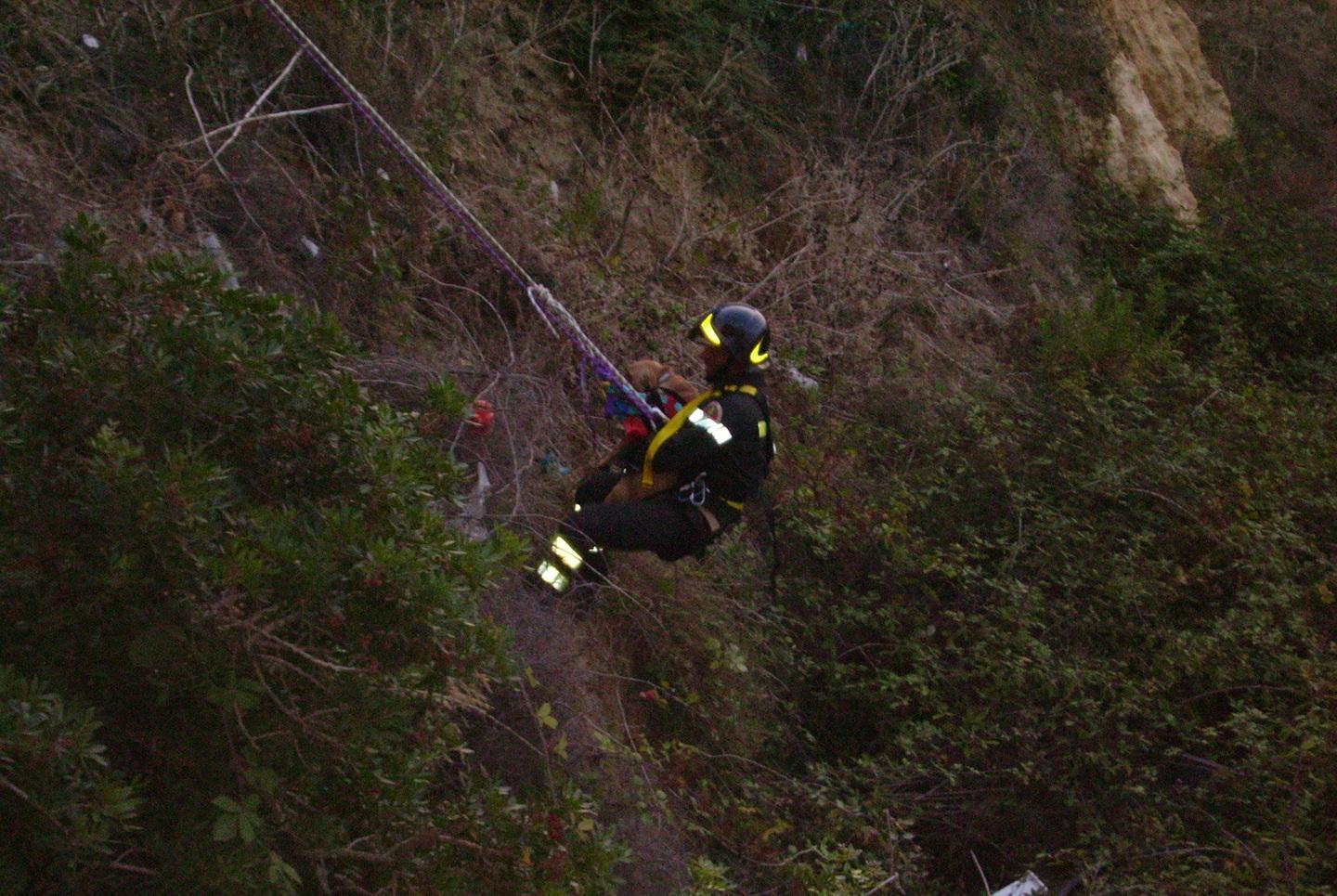 Cagnolino scivola in mare e annega 