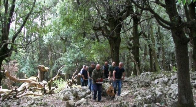 I sindaci oggi a Cagliari per le concessioni forestali 