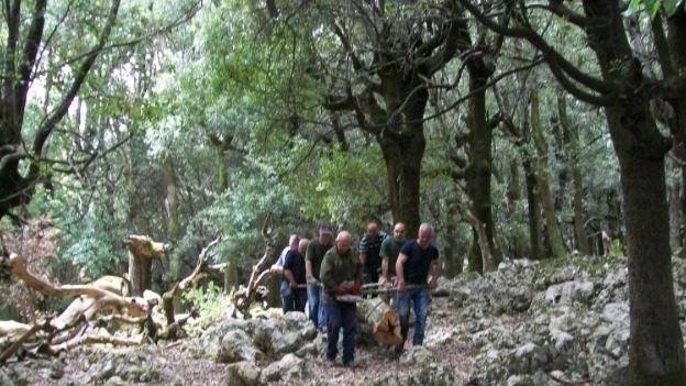 I sindaci oggi a Cagliari per le concessioni forestali 