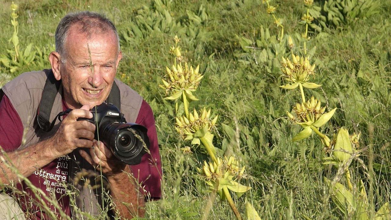 Il mondo dei grifoni raccontato dagli esperti