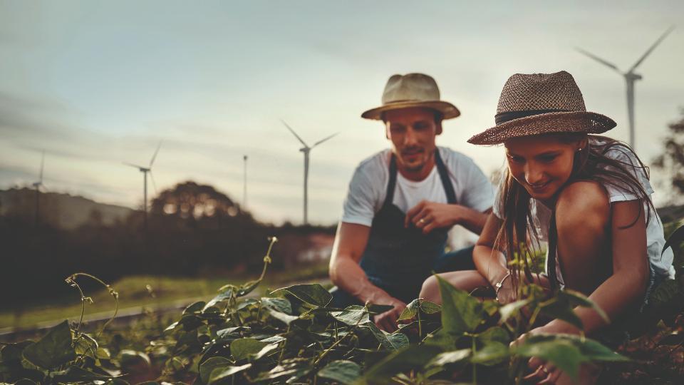 Transizione ecologica: i miti da sfatare sulle rinnovabili e le opportunità per il territorio e la collettività