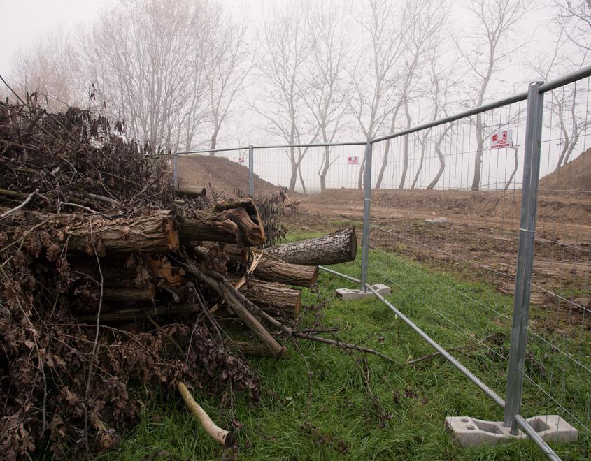 Set fotografico d’autore per fare sopravvivere il bosco urbano a Baragalla 