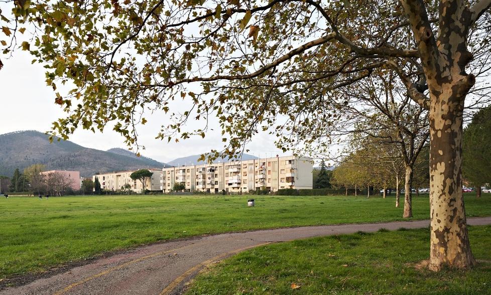 Per Natale regalo un albero al quartiere Prato Forest City, parte la raccolta fondi 