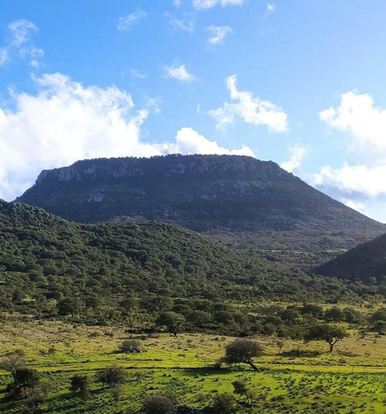 Le spie sul monte Minerva nel’43 Carla Cossu presenta il suo libro 