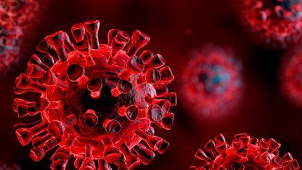 Le cure bufala della naturopata di Formigine «Covid?Aspirina e inalazioni allo zenzero»