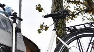 Denunciato ricettatore di una bici da 4mila euro