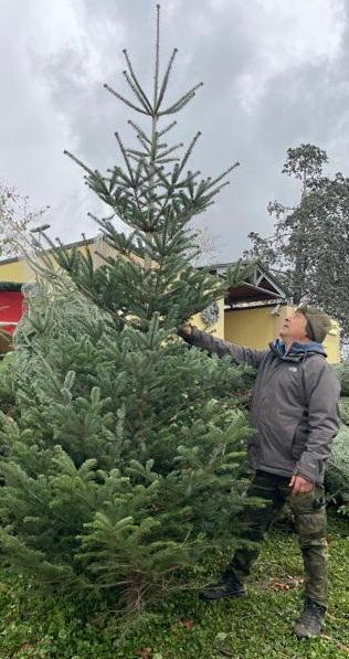 Di giorno al lavoro e la notte diventa il “guardiano” degli alberi di Natale