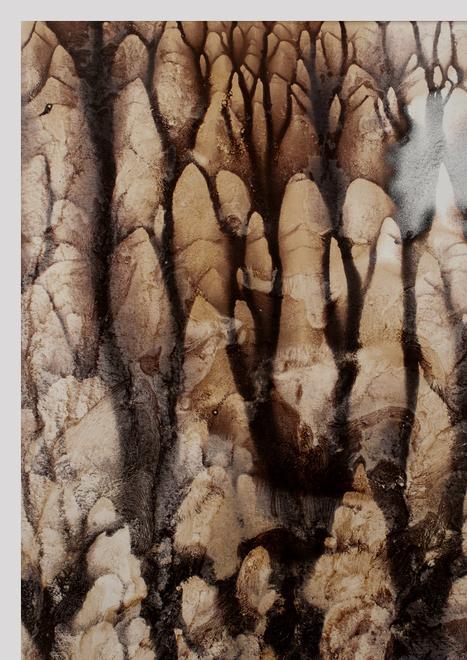 Di Liborio all’Ottagono col progetto “Aliens” 