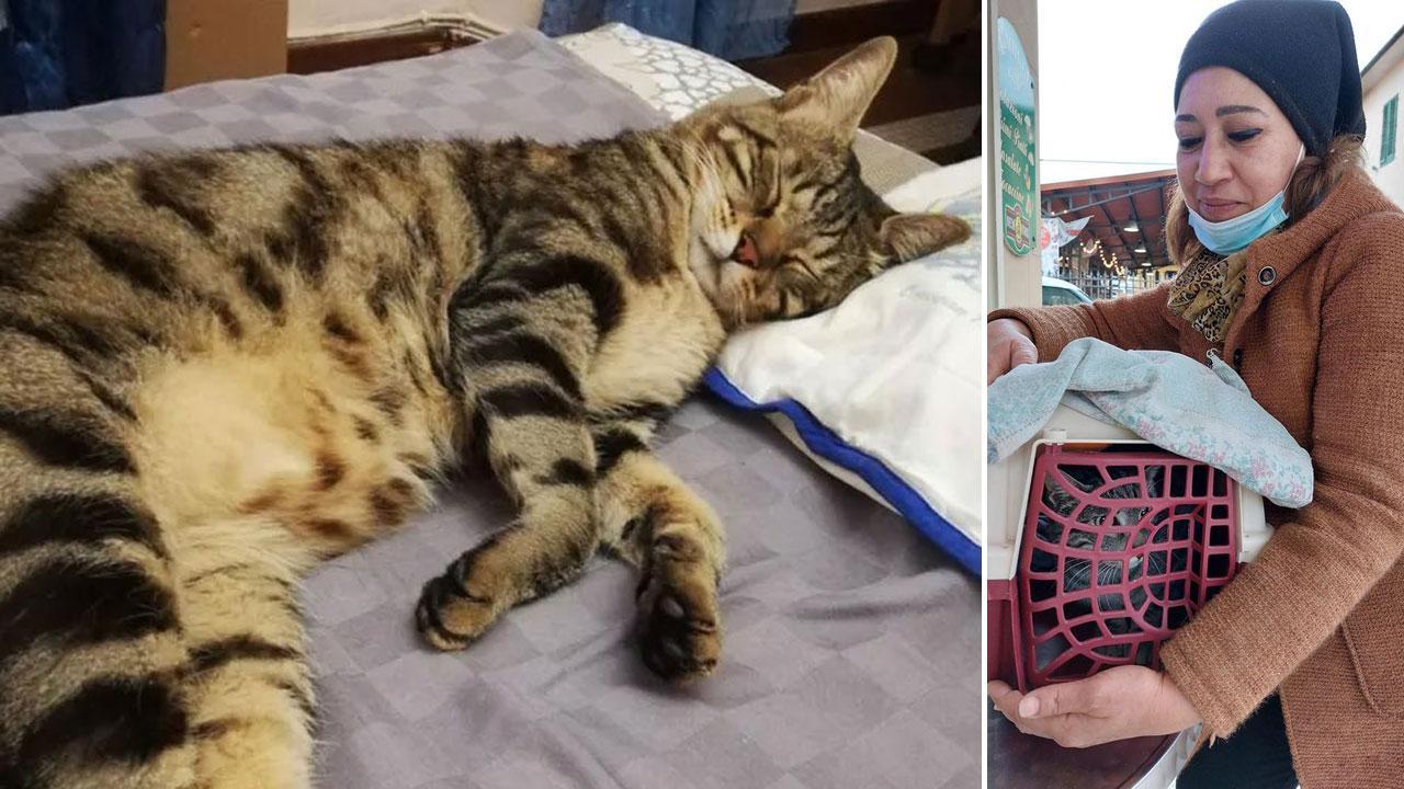 Henda Bensalad con il suo Bacci all'interno della cesta finalmente lo riporta a casa