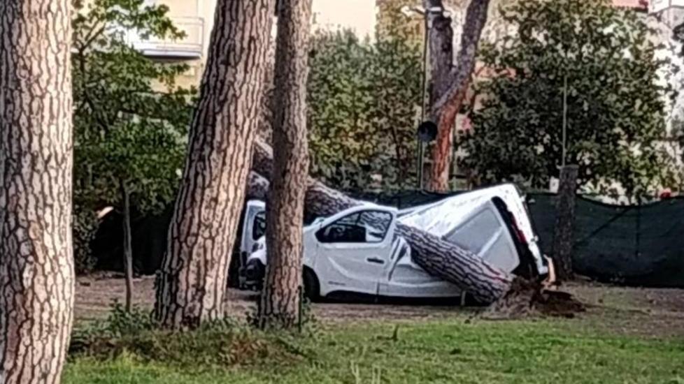 Il furgone della Caritas distrutto dall'albero caduto (FotoGiorgio)