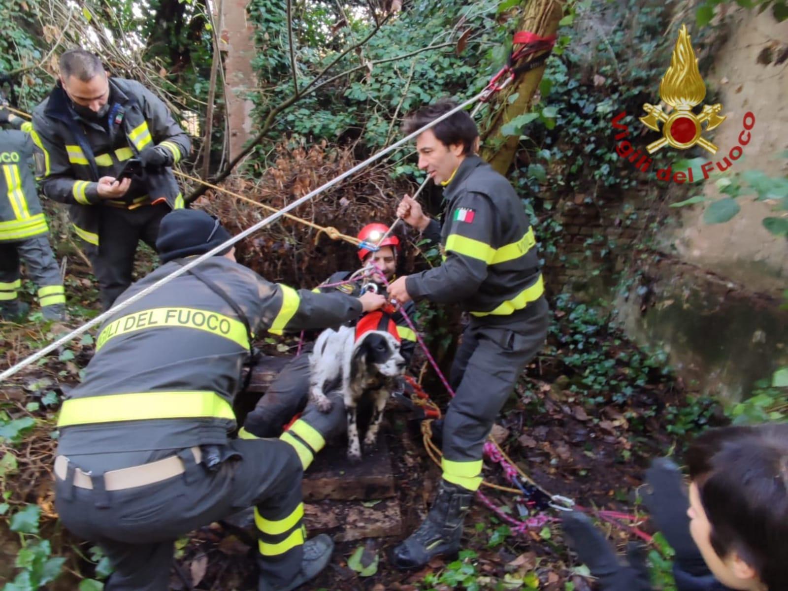 Il salvataggio del cane a Rivalta