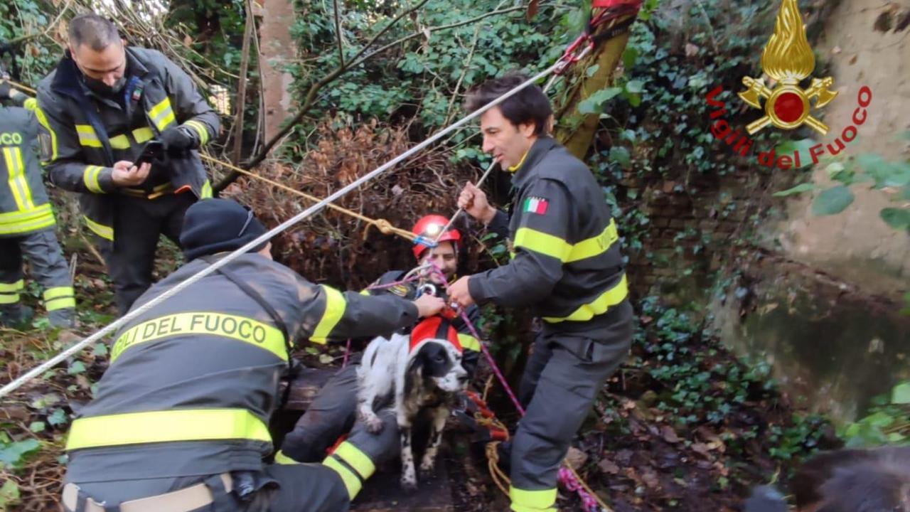 Il salvataggio del cane a Rivalta