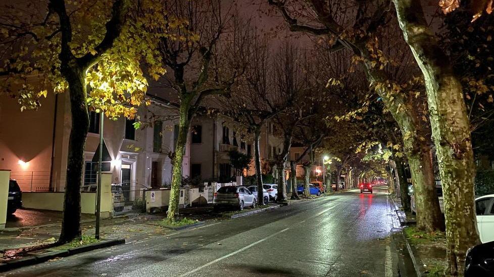 Pontedera, viale IV Novembre libero dalle auto in sosta