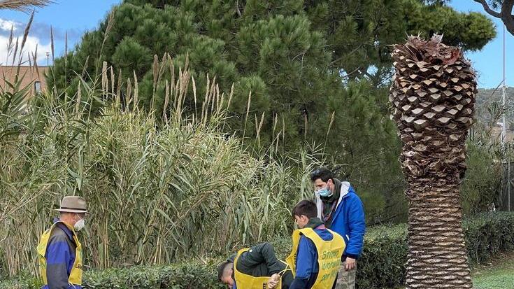 Via tappini e mozziconi e gli scout piantano alberi
