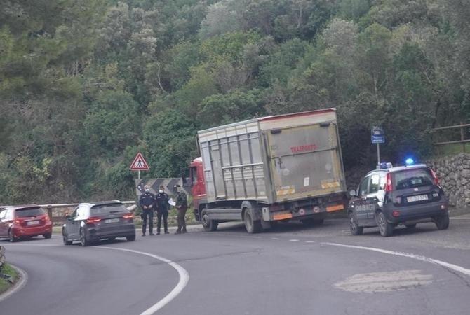 L'autista del camion che trasportava i mufloni dal Giglio a Semproniano, fermato dai carabinieri dopo la denuncia del fotografo Enzo Russo, in una foto scattata dallo stesso Russo