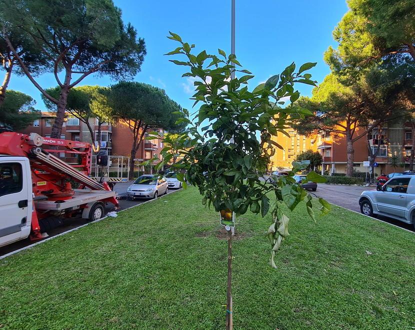 Il lifting di Casalp Parte la pulizia di giardini e cortili nell’area di Salviano 