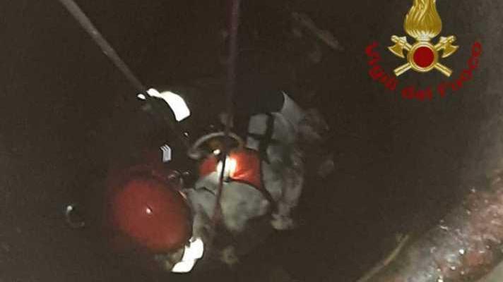 Cane cade in fondo al pozzo salvato dai vigili del fuoco