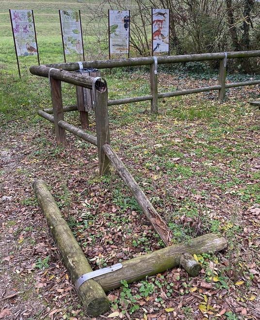 L’area golenale è nel degrado «Ora coinvolgiamo i cittadini» 