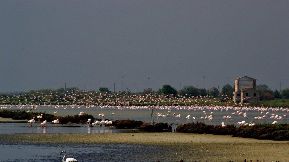 Isola galleggiante in Valle per ospitare gli uccelli