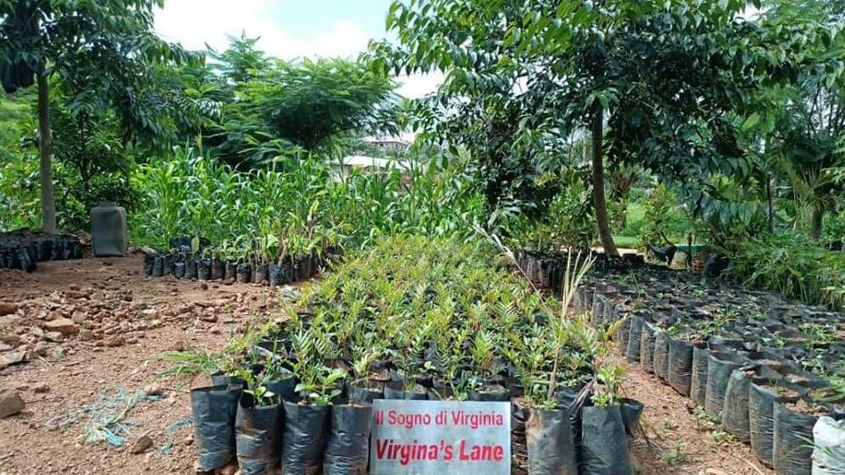 Un’oasi verde in Camerun: il sogno di Virginia è realtà 