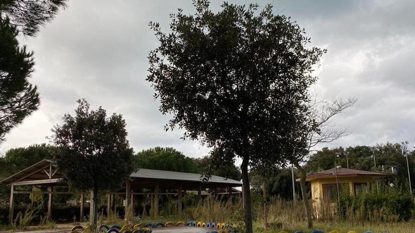 Due anni di limbo e di chiusura Ora Giocolandia torna al Comune