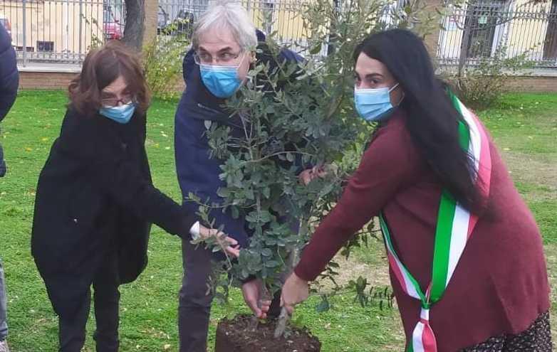 Alberi per i trent’anni del Parco dell’Asinara 