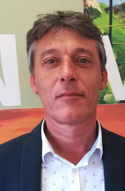 Anche Bolgheri ora ha il suo olio con la specifica Igp Toscano 