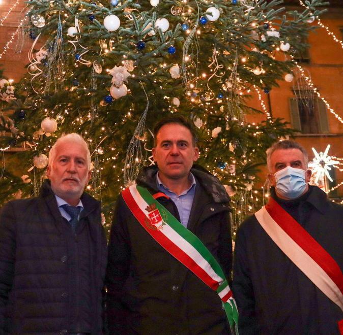 La magia degli alberi illuminati nelle piazze in città e sul litorale 