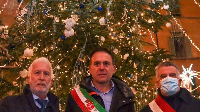La magia degli alberi illuminati nelle piazze in città e sul litorale