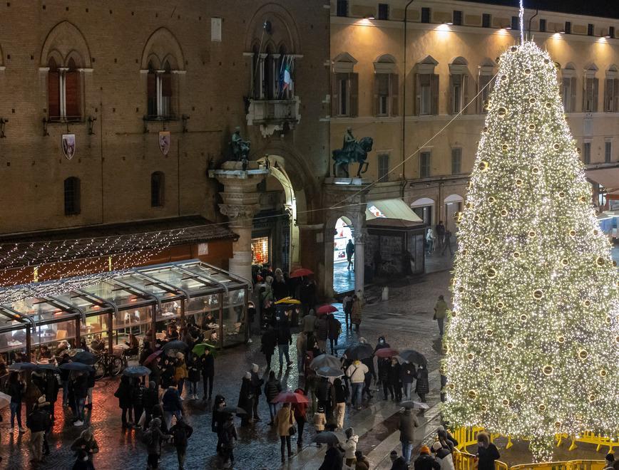 Accesi gli alberi di Natale in 5 piazze della città Ferrara si rifà il trucco nel grande sfavillio di luci 
