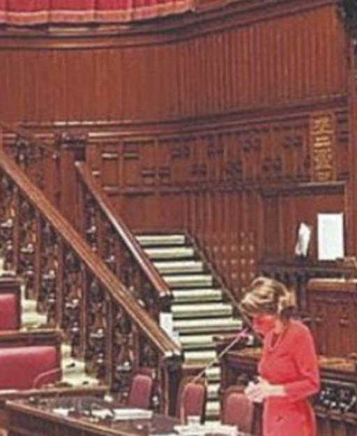 Violenza sulle donne: la Camera deserta è simbolo dell’indifferenza