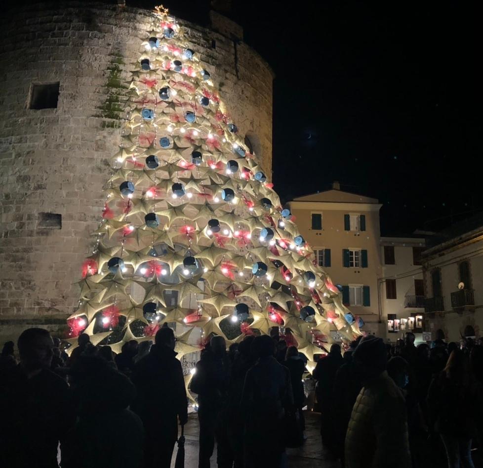 L’albero di Natale a Porta Terra brilla di colori