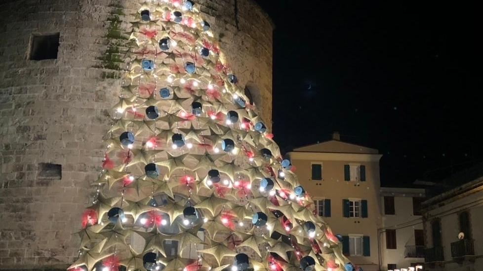 L’albero di Natale a Porta Terra brilla di colori