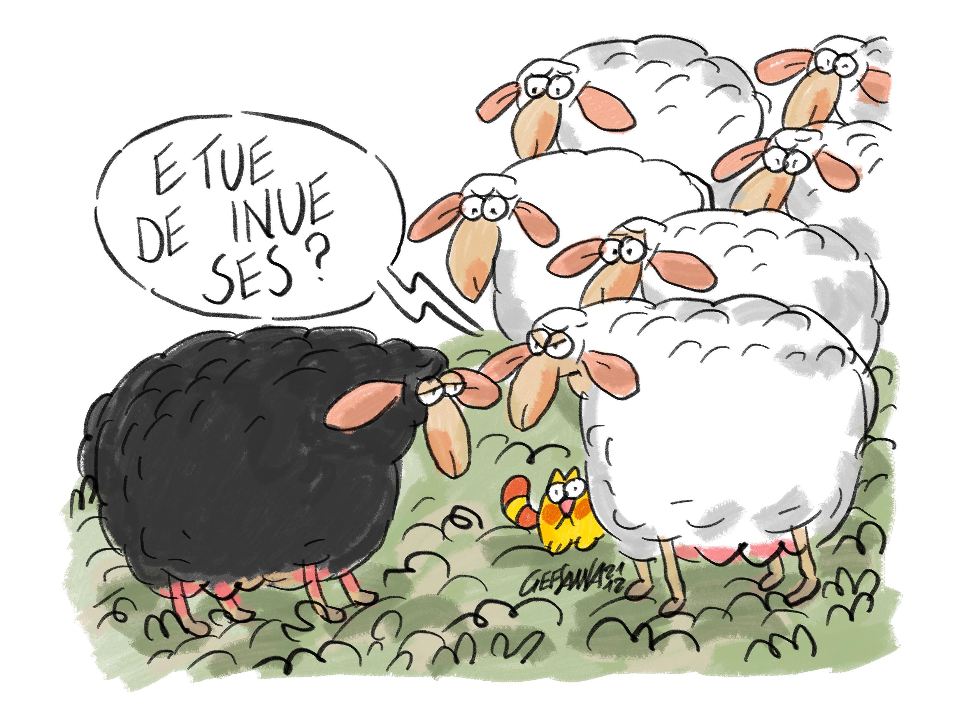 La vignetta di Gef: il Consorzio pecorino si spacca sull'uso di pecore non autoctone