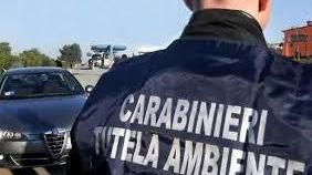 Ecomafie, la Toscana resta al sesto posto in Italia per reati ambientali