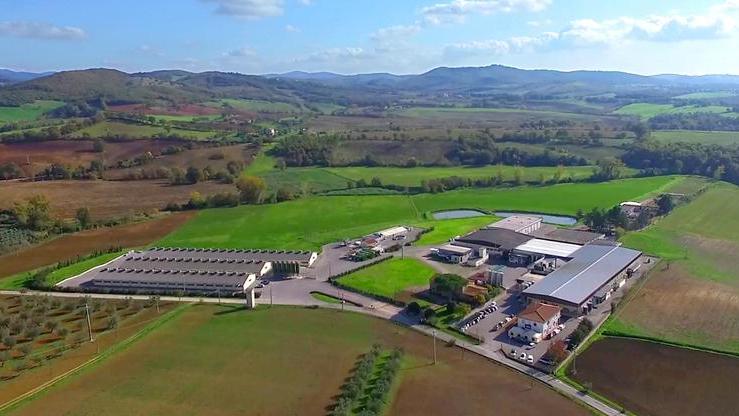 Caseificio “ecologico” Energia da gas naturale che abbatte le emissioni